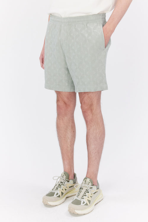 Ryan Shorts sea foam